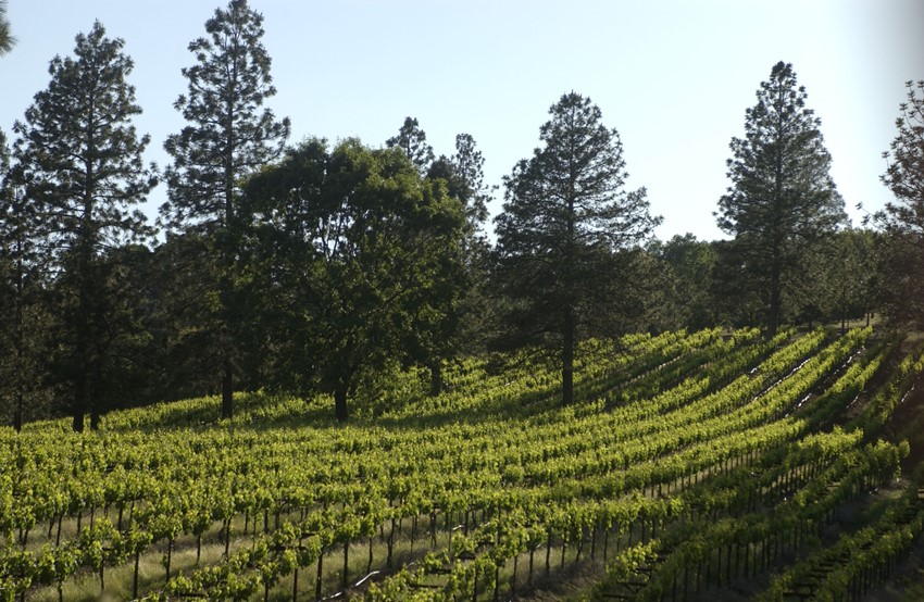 Ironstone vineyards
