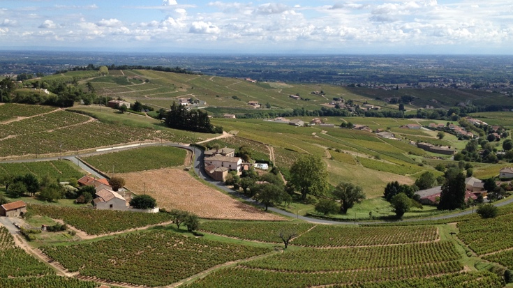 Beaujolais
