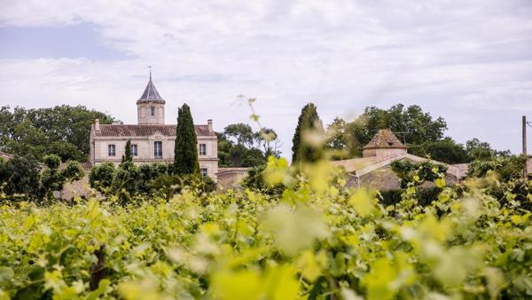 New wines from the Old World for Autumn 2017