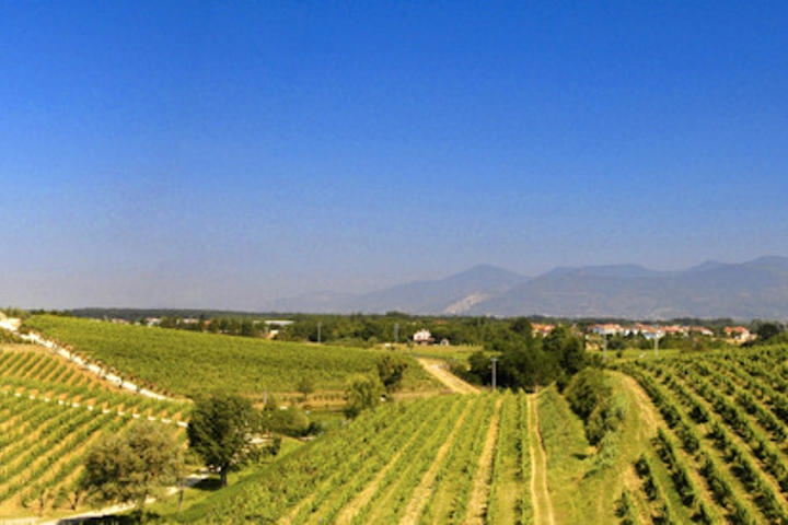 Ceppaiano