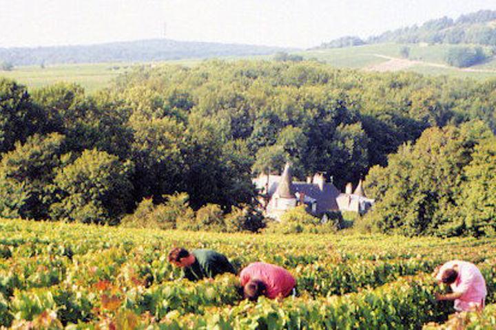 Andre Neveu