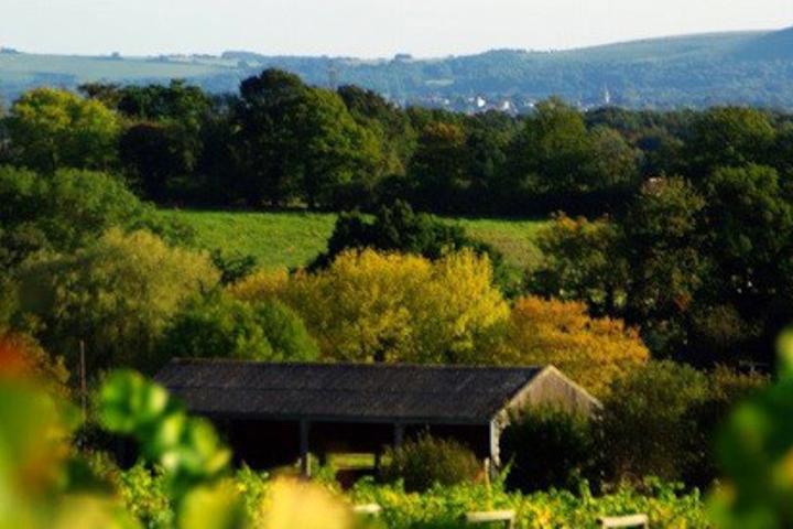 Bolney Wine Estate