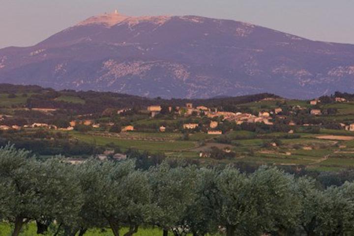 Cave Terra Ventoux