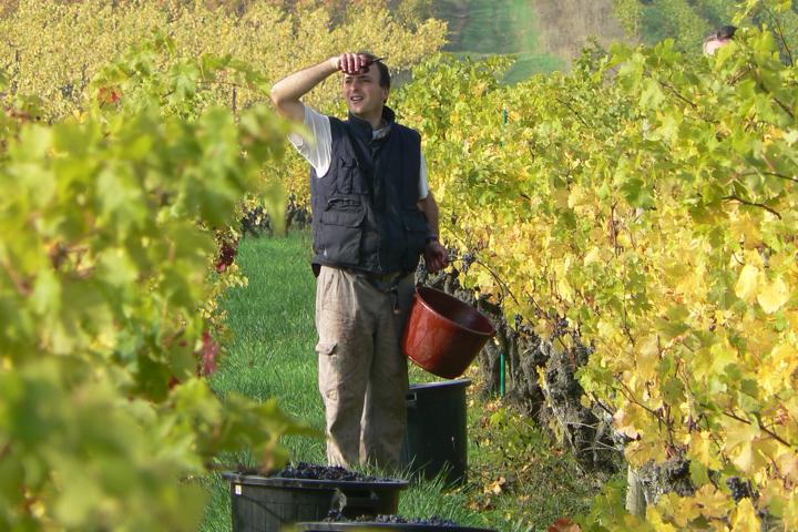 Chateau Pierre Bise