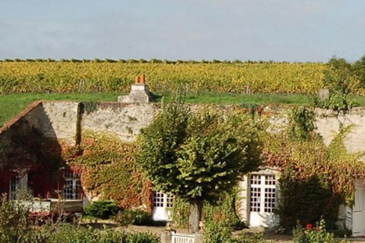 Clos de Nouys