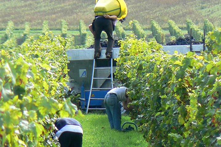 Domaine de la Cotelleraie