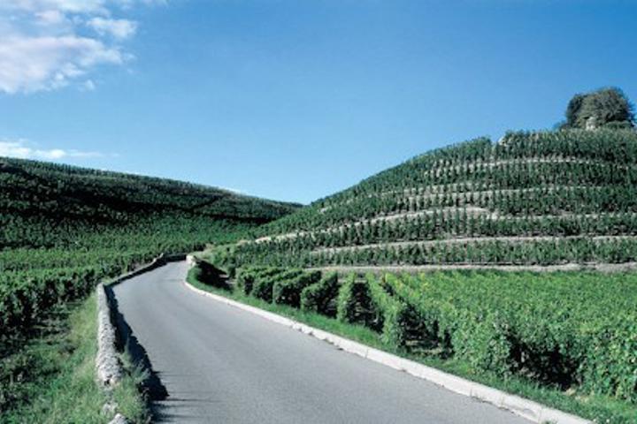 Domaine du Colombier