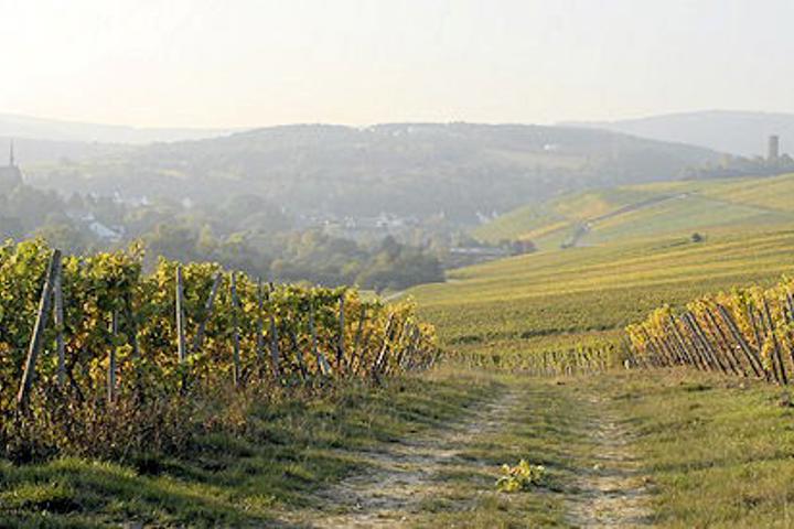 Prinz Von Hessen