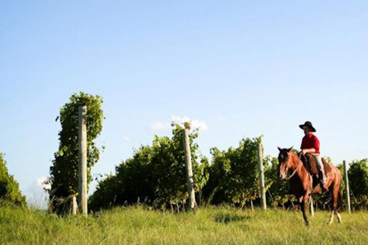 Quinta Do Seival