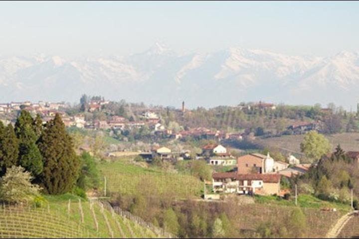 Riva Leone