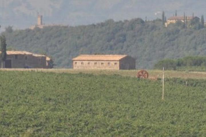 Villa dei Fiori