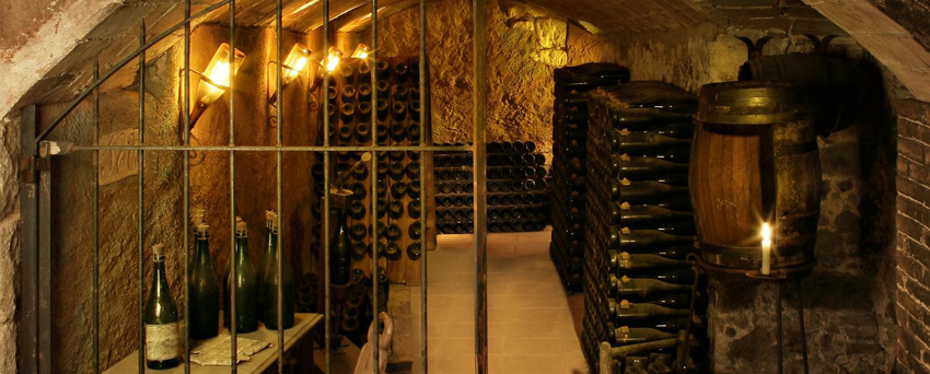 The Cava cellars at Llopart