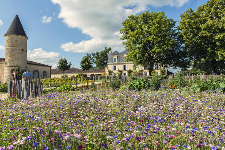 Chateau Guiraud