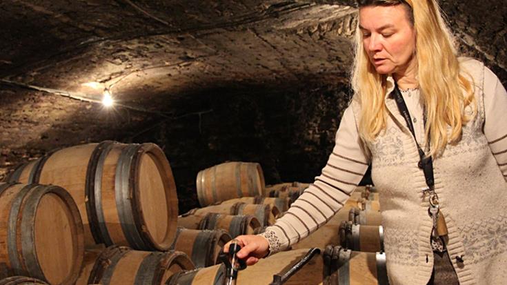 Modern attitudes meet traditional winemaking