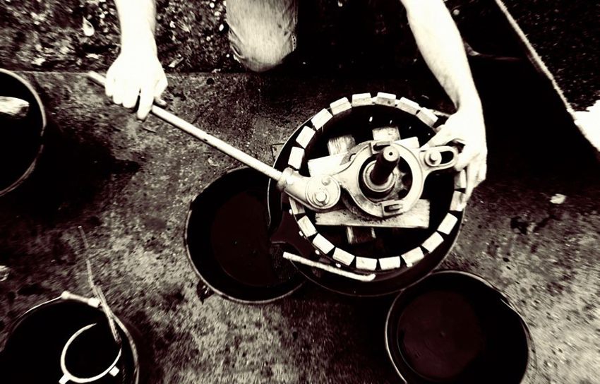 Working the grapes by hand at Domaine de l'R