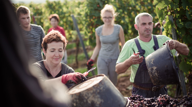 There's more to Germany than Riesling