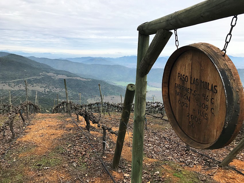 Colchagua Mountain Vineyards at Luis Felipe Edwards