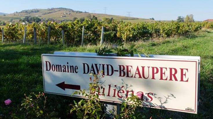 Blog: Burgundy and Beaujolais heatwave update