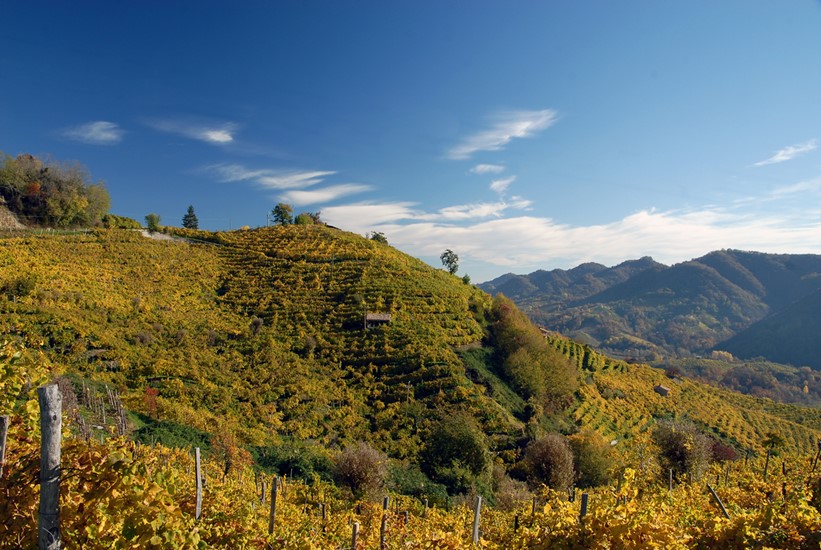 The Cartizze vineyard in Valdobbiadene