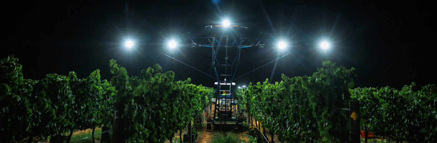 Southern Hemisphere Harvest 2025