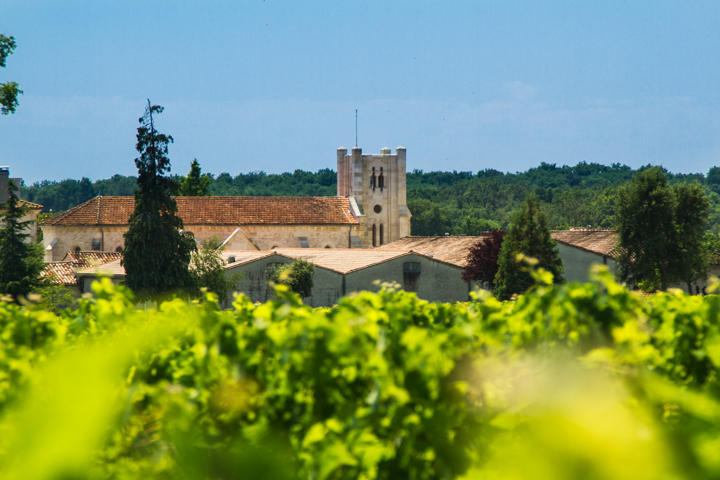 Chateau Potensac