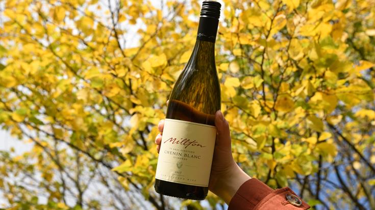 Autumnal Wines for Colder Days