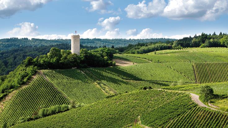 A Riesling road trip