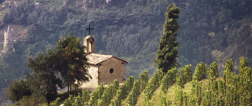 The Hermitage La Chapelle vineyard