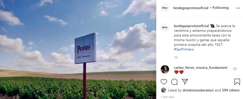 Bodegas Protos