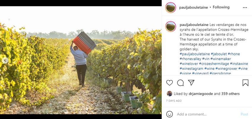 harvesting in the vineyards at paul jaboulet aine