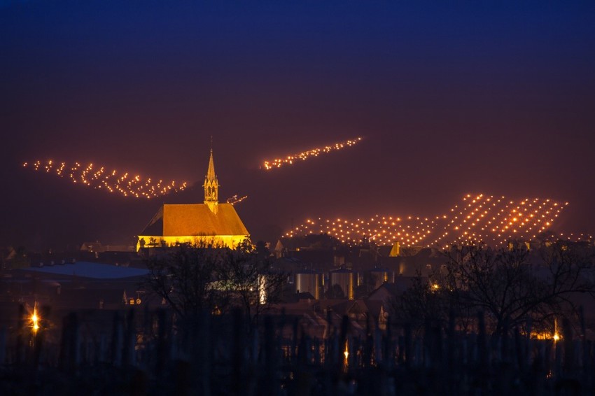 Fires lit in Chablis