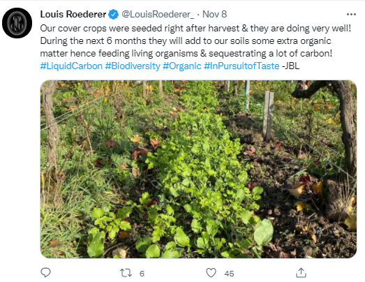 Louis Roederer cover crops after harvest