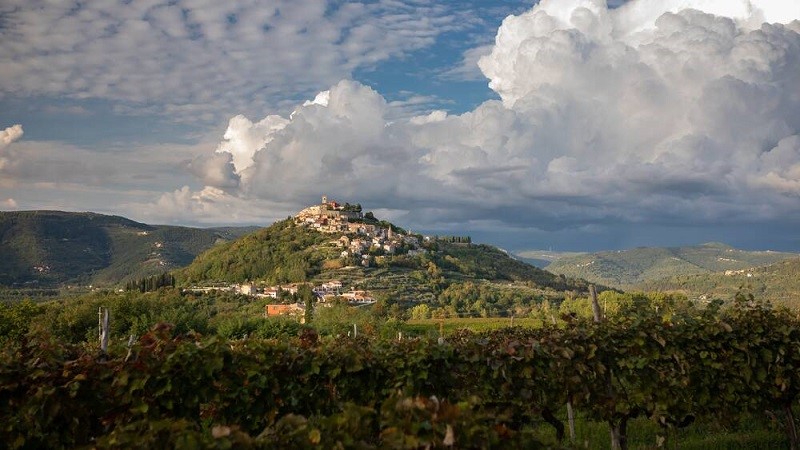 Istria winelands