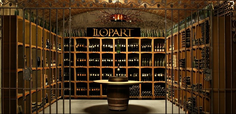 Llopart winery display