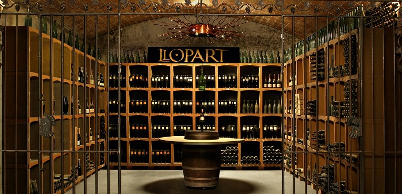 Llopart winery display