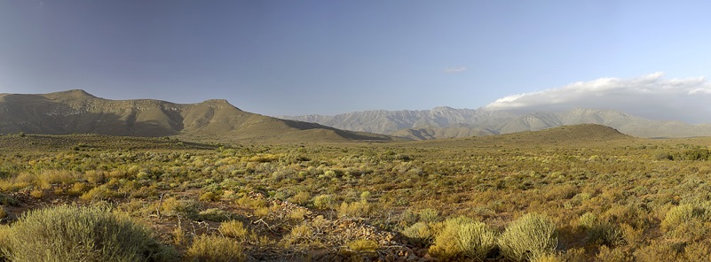 Graham Beck nature reserve