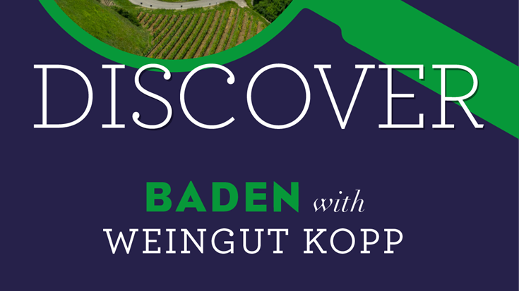 Discover Baden with Kopp