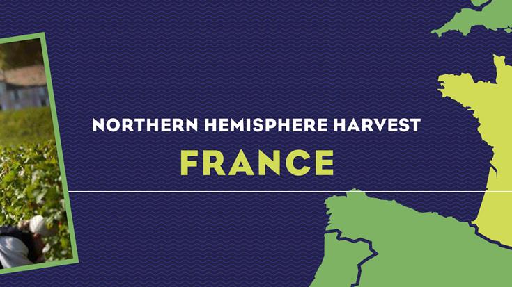 Harvest Report 2022 - France