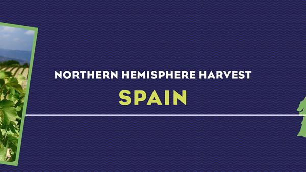 Harvest Report 2022: Spain