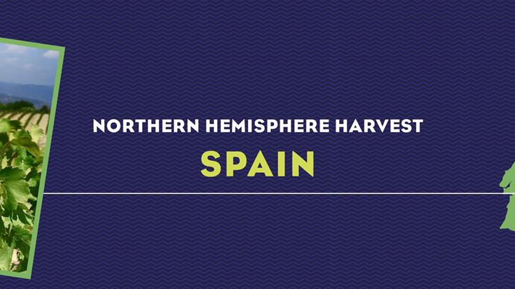 Harvest Report 2022: Spain