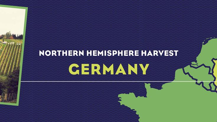 Harvest Report 2022: Germany