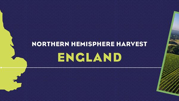 Harvest Report 2022: England